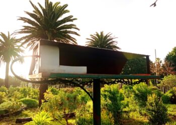 QR Bebederos y comederos1 QR Bebederos y comederos1