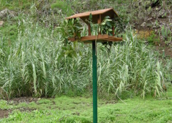 QR Bebederos y comederos4 QR Bebederos y comederos4