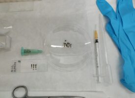 Imágenes del laboratorio de Entomología Médica