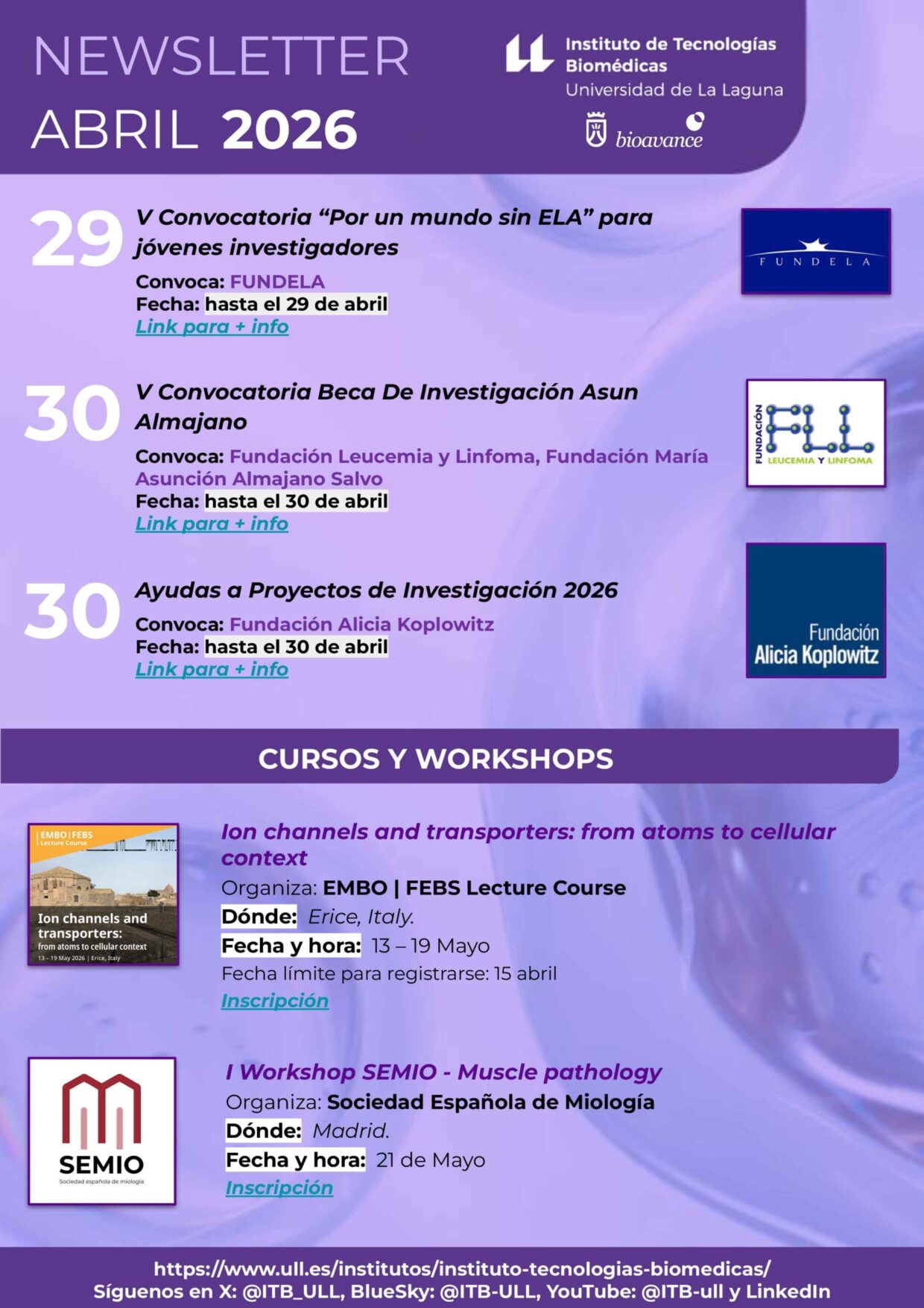 Newsletter-ITB-ABRIL-26-3