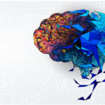 neuro-3-150x150 neuro-3-150x150