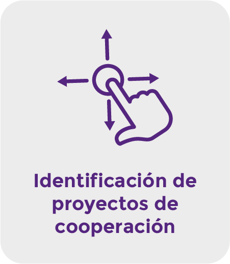 Identificación de proyectos de cooperación