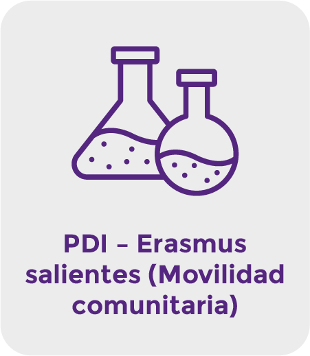 PDI - Erasmus salientes (Movilidad comunitaria)