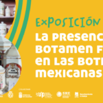Cultura_Expo Boticas
