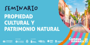 Formación_propiedad cultural y patrimonio