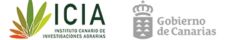 ICIA + gobierno de canarias
