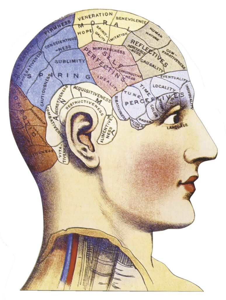 Supervisar Perpetuo terminado Las funciones del cerebro: una controversia en la Ilustración -