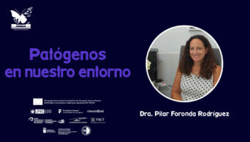 Charla 4 Dra. Pilar Foronda Rodríguez