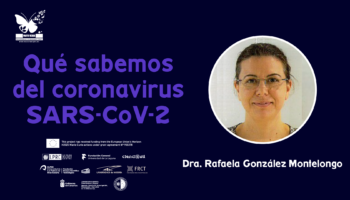 Qué sabemos del coronavirus SARS-CoV-2