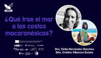 Qué trae el mar a las costas macaronésicas2