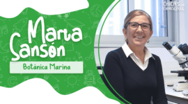 Marta Sansón Sin Logos