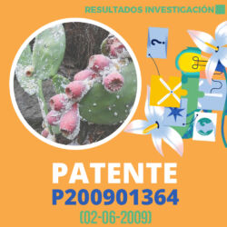 Resultados de Investigación Patente P200901364 1000x1000