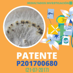 Resultados de Investigación Patente P201700680 1000x1000