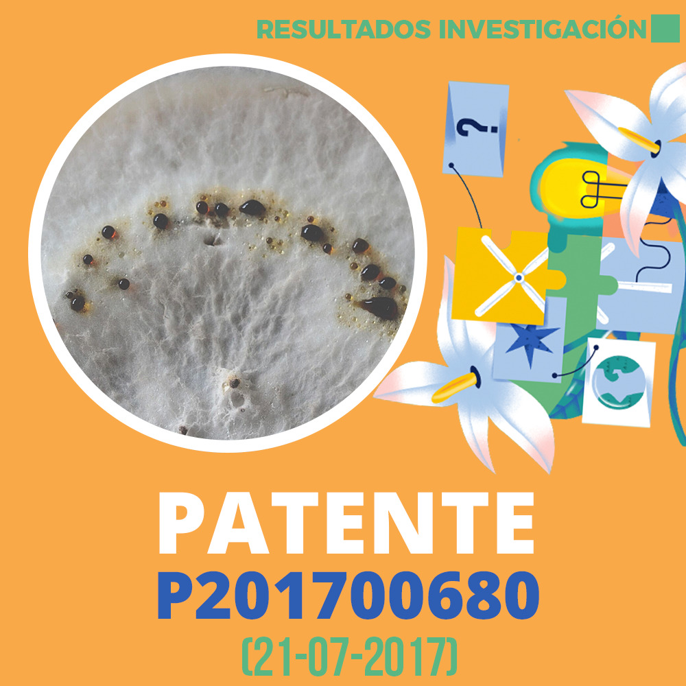 Resultados de Investigación Patente P201700680 1000x1000