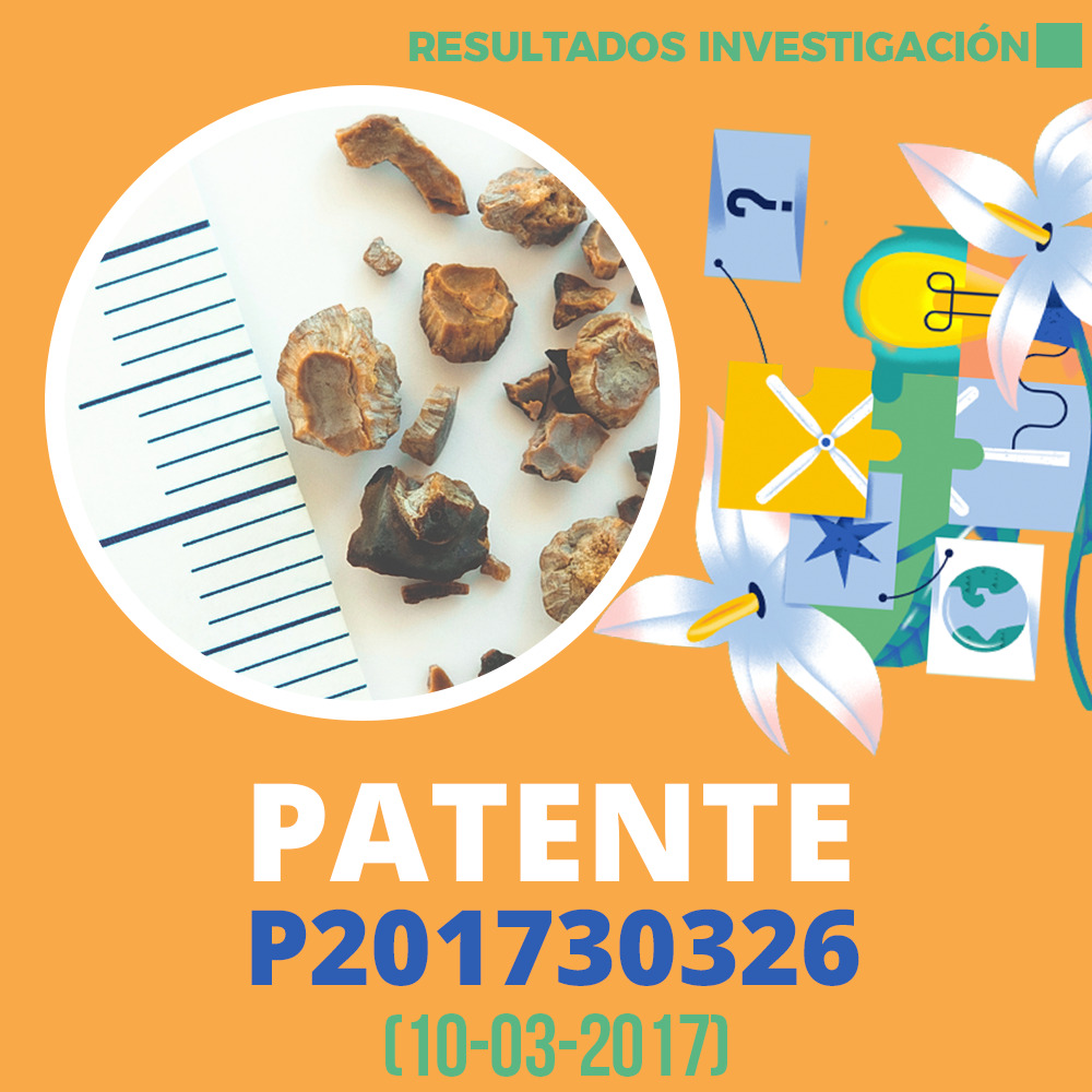 Resultados de Investigación Patente P201730326 1000x1000