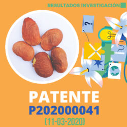 Resultados de Investigación Patente P202000041 1000x1000
