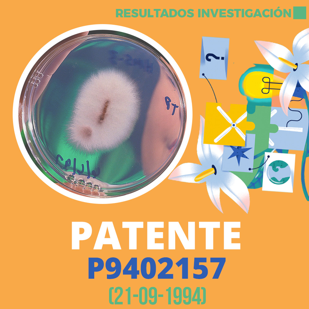 Resultados de Investigación Patente P9402157 1000x1000
