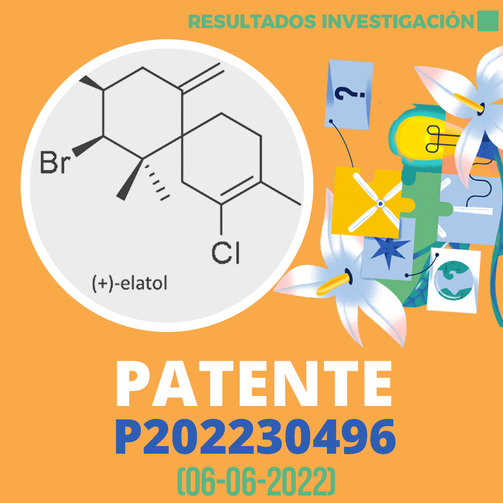 Patente P202230496