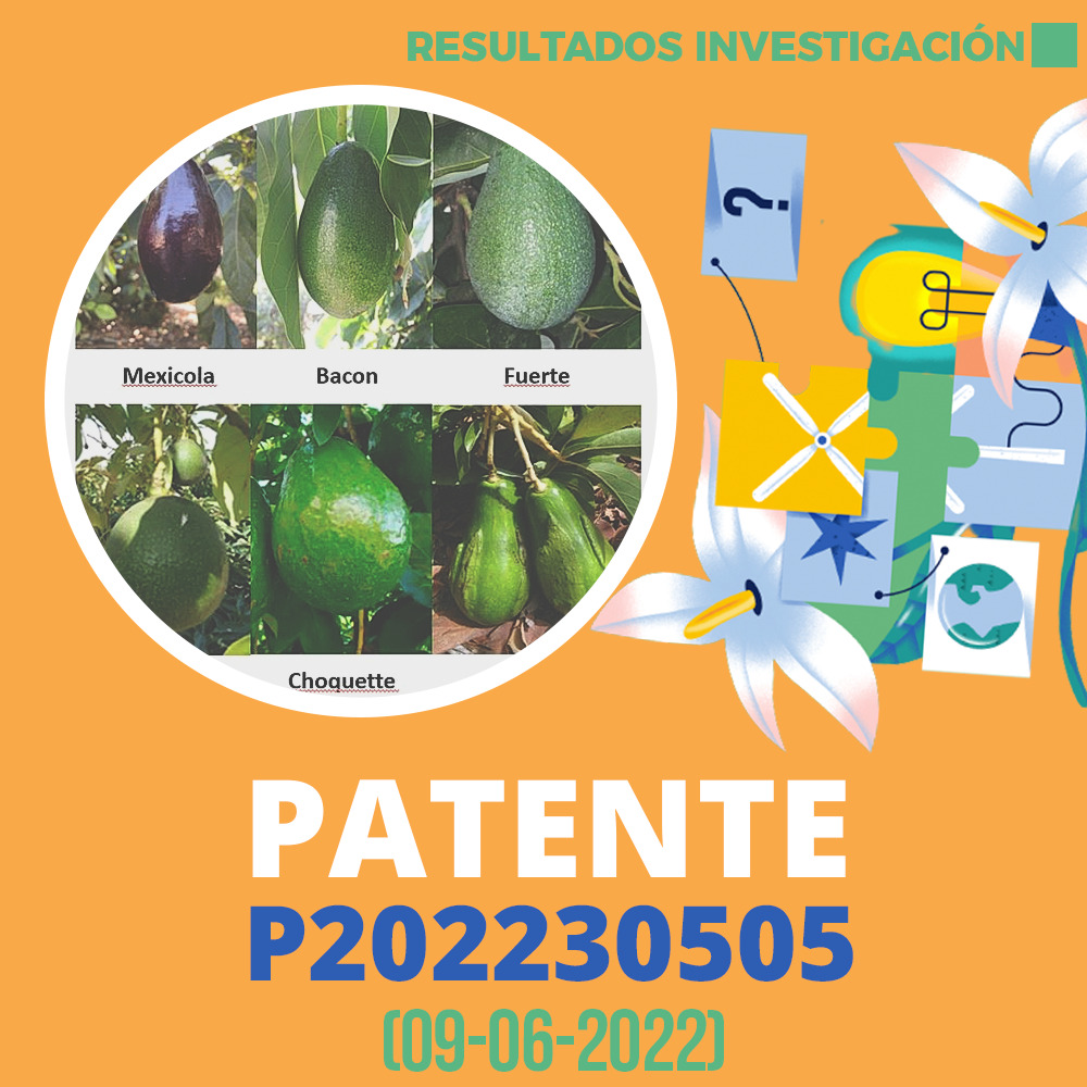 Patente P202230505