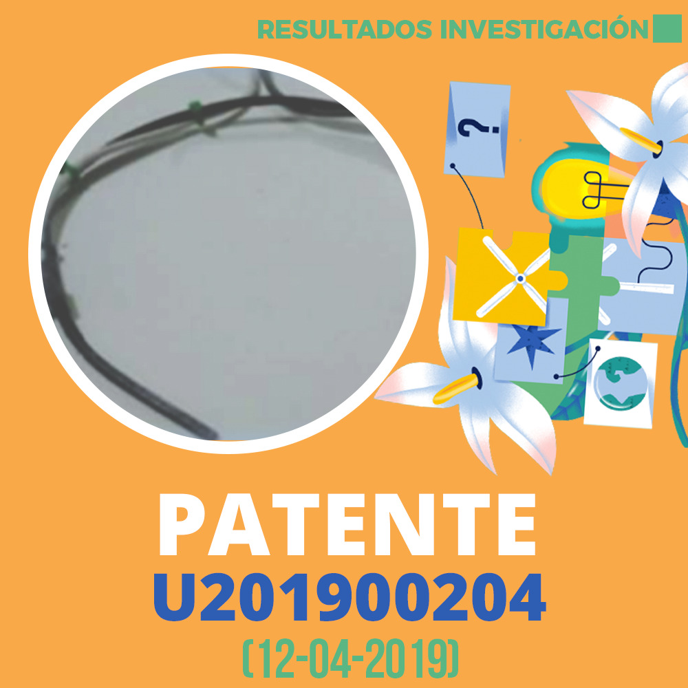 Patente U201900204