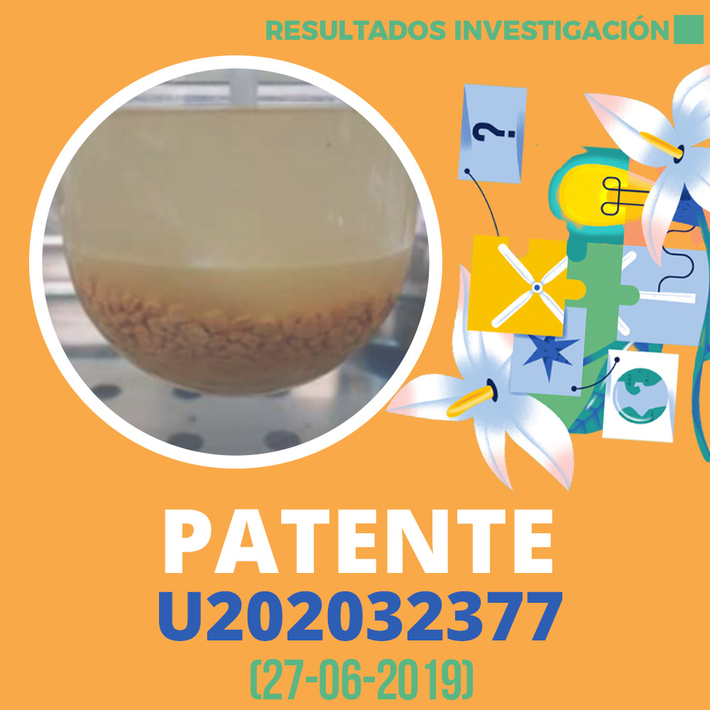 Patente U202032377