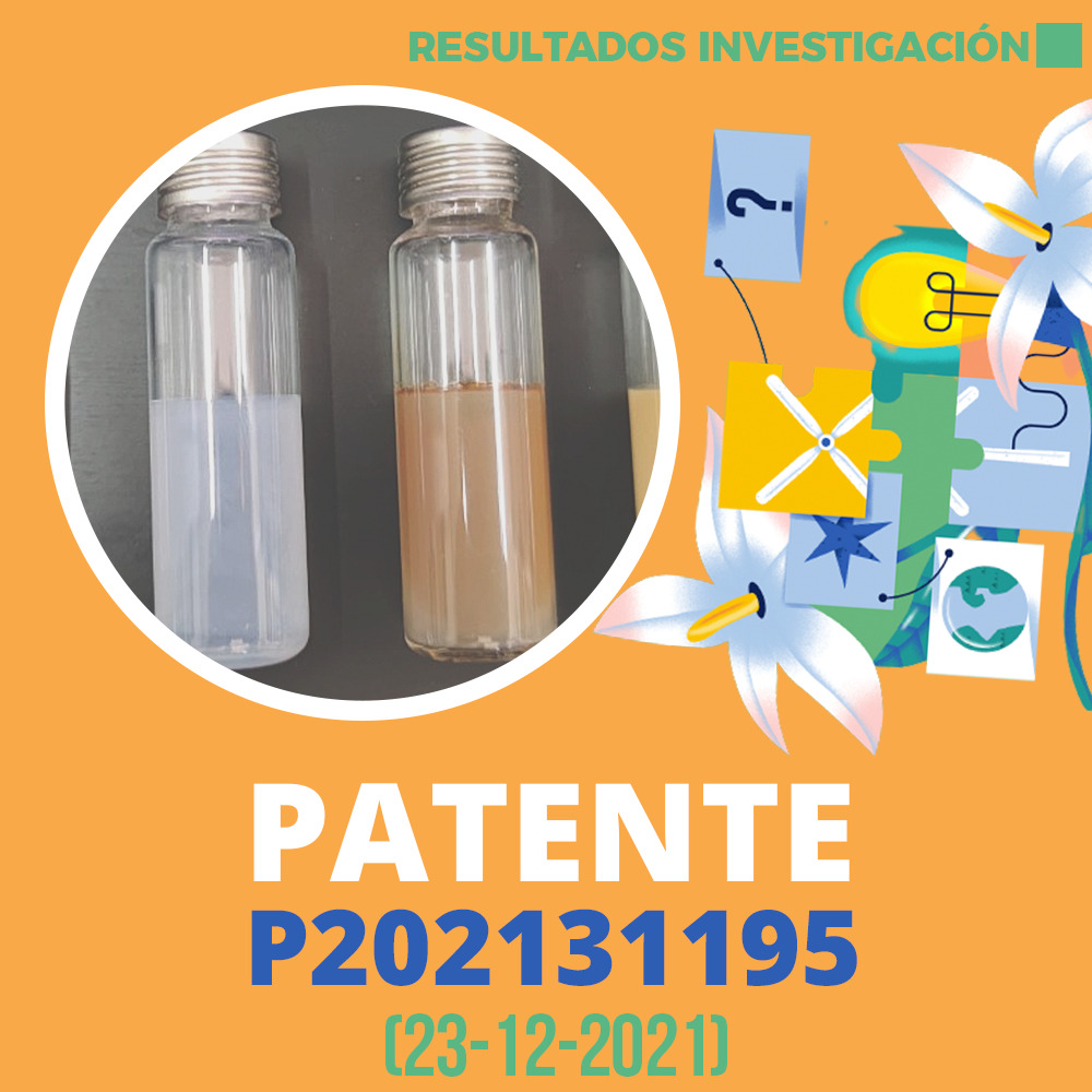 Patente202131195