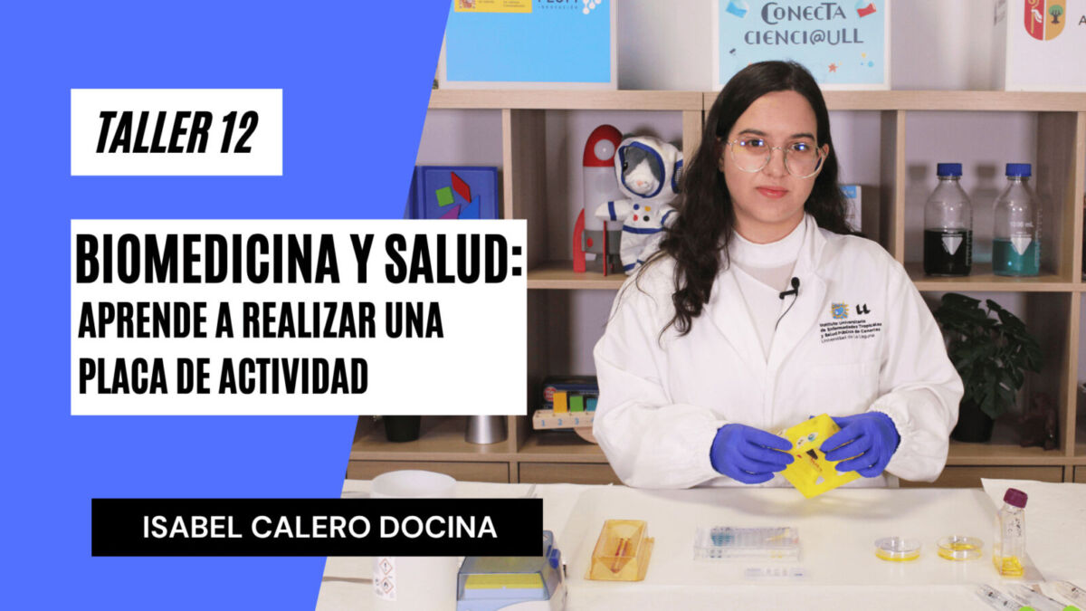 Portada Isabel Taller 12