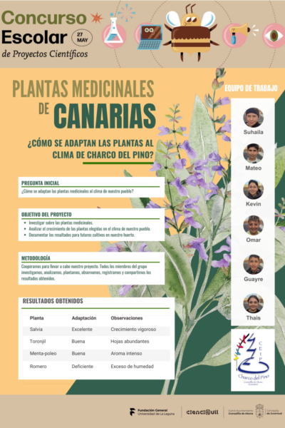 Póster Proyecto Científico Plantas Medicinales
