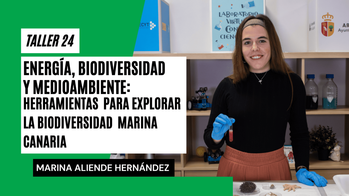 Taller 24_ Herramientas para explorar la biodiversidad marina canaria