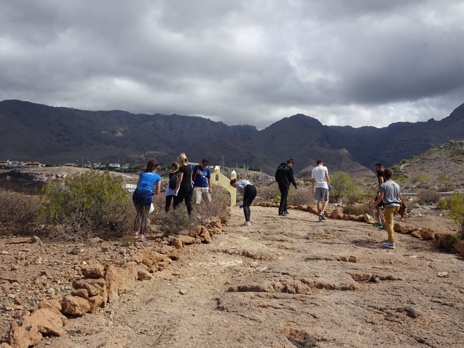 Foto de la limpieza del "Camino de la Virgen" por parte del alumnado de la ULL en Adeje