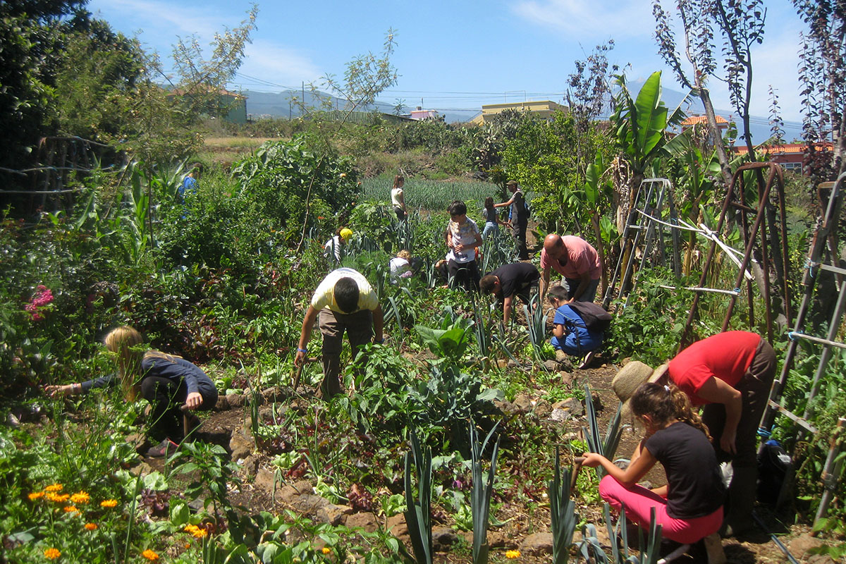 Fotografía de un grupo de personas trabajando en un huerto ecológico