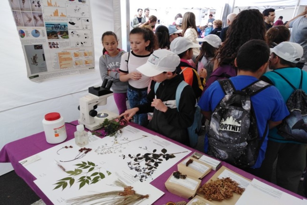 Imagen de la feria GüímarTech