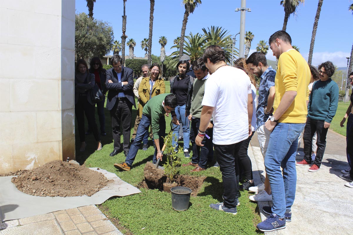 Foto del acto simbólico de plantar un árbol por el cambio climático