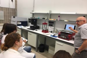 Fotografía del curso de formación del personal del SEGAI