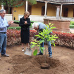 De izqueirda a derecha: Miguel Torres Rubín, Rosa Aguilar Chinea y Miguel Ángel Fernández Matrán durante la plantación del árbol.
