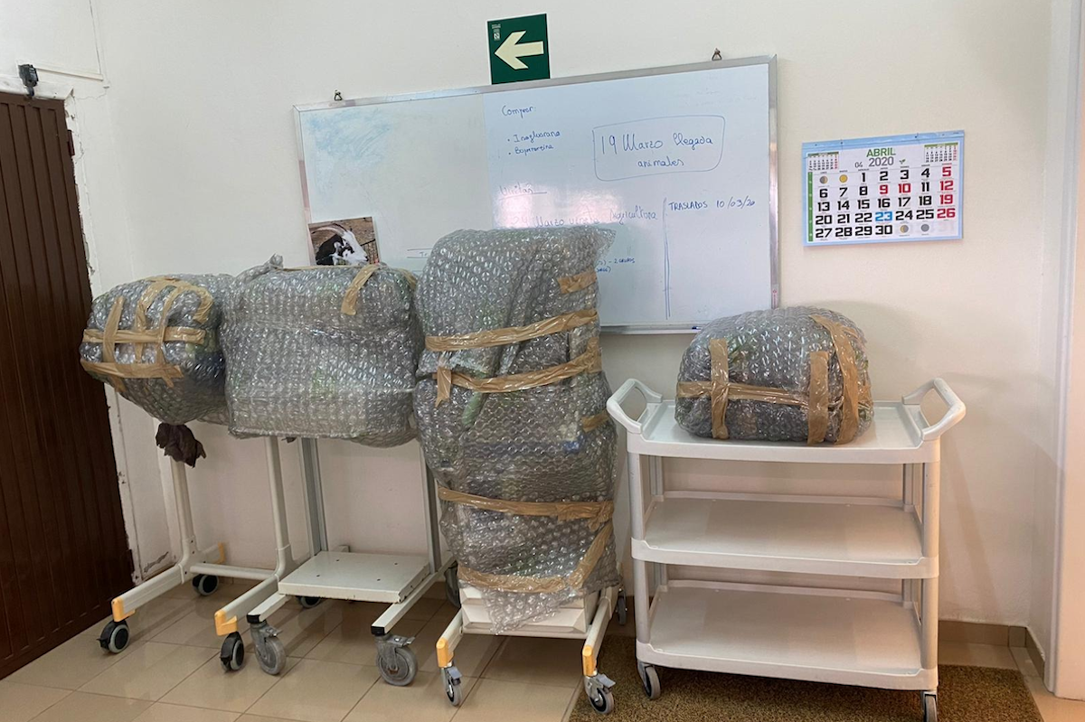 Los cuatro equipos, embalados y listos para su traslado a La Palma.