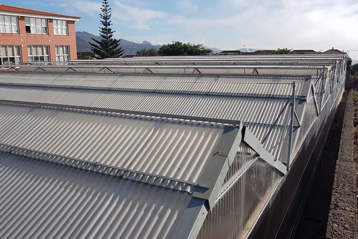 invernaderos cubiertas - ULL - Noticias