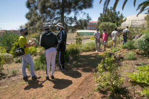 jardín de la Sección de Agrarias