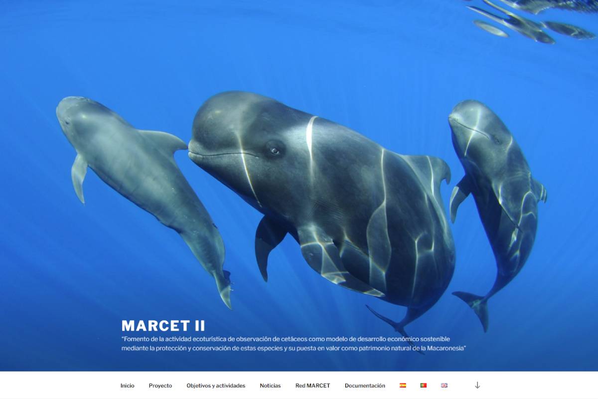 Portada de la web del proyecto MARCET II