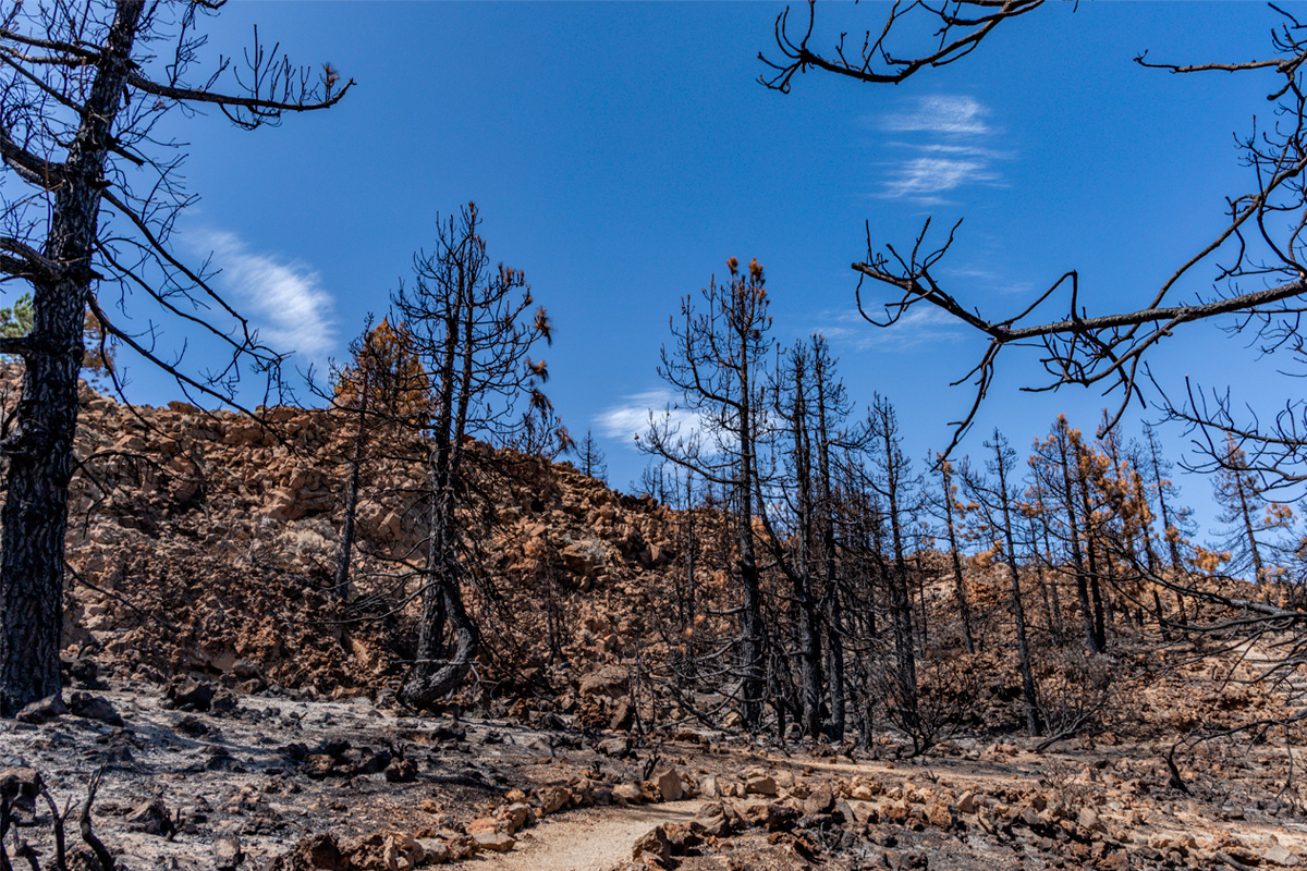 Imagen de archivo de un área del Parque Nacional de El Teide tras un incendio forestal.