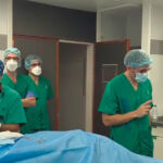 Imagen de la intervención quirúrgica sobre el modelo animal realizada en el Hospital Dr. Negrín.