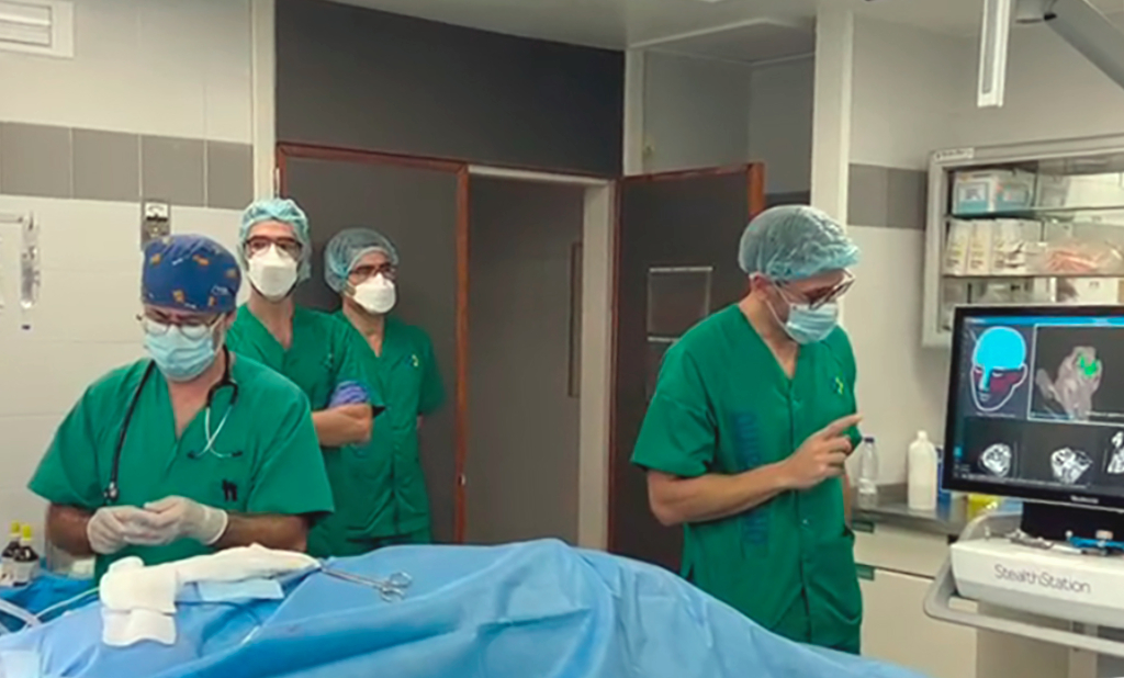 Imagen de la intervención quirúrgica sobre el modelo animal realizada en el Hospital Dr. Negrín.