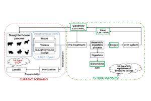 Escenario futuro de la gestión de residuos de mataderos en la isla de Tenerife y comparación con el escenario actual. (Esquema que forma parte del artículo).