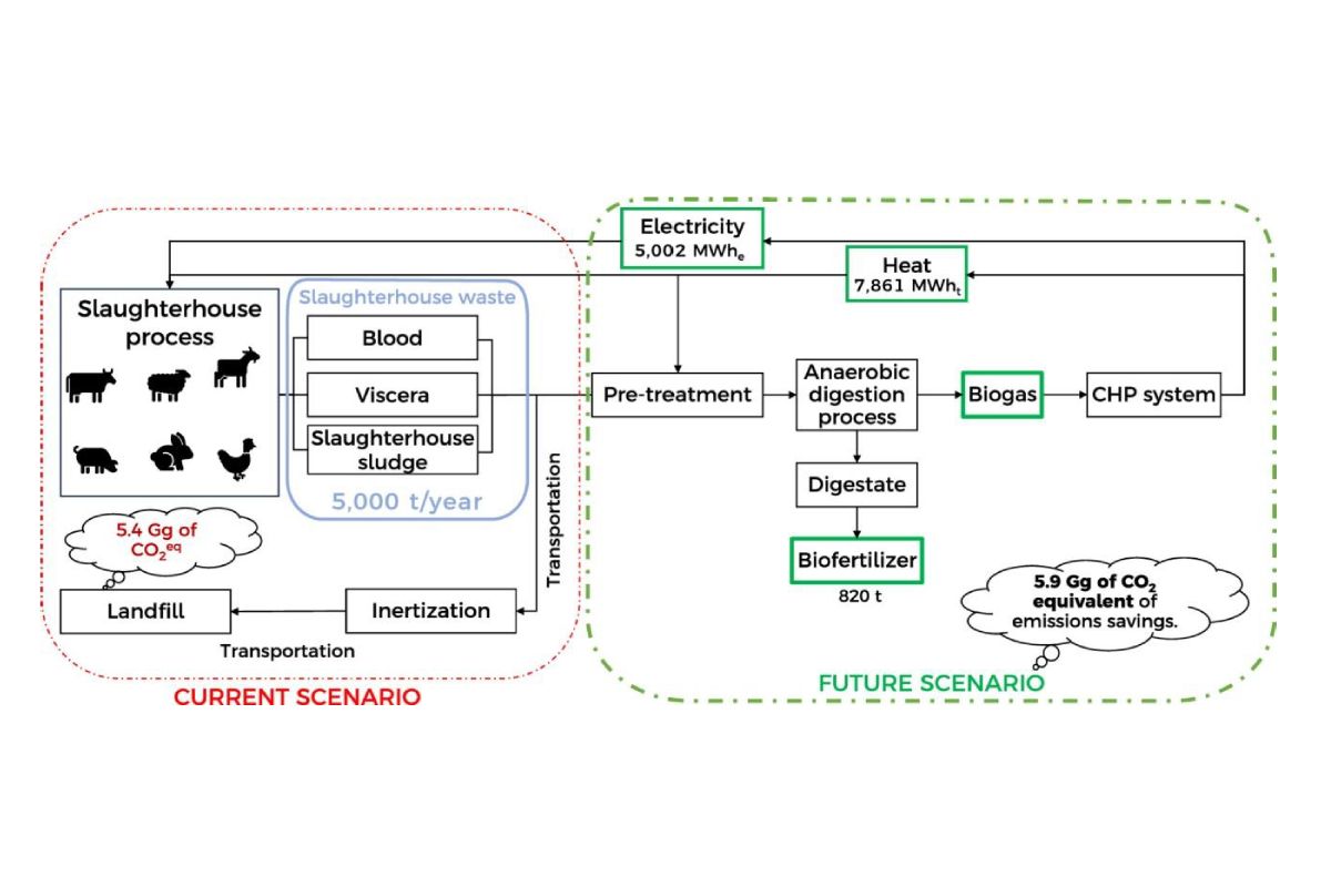 Escenario futuro de la gestión de residuos de mataderos en la isla de Tenerife y comparación con el escenario actual. (Esquema que forma parte del artículo).