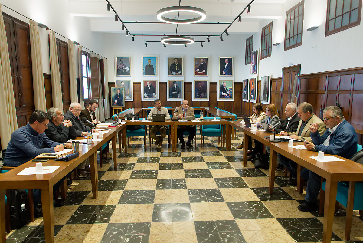 Imagen de archivo de la sesión del Consejo Social del pasado 27 de marzo,