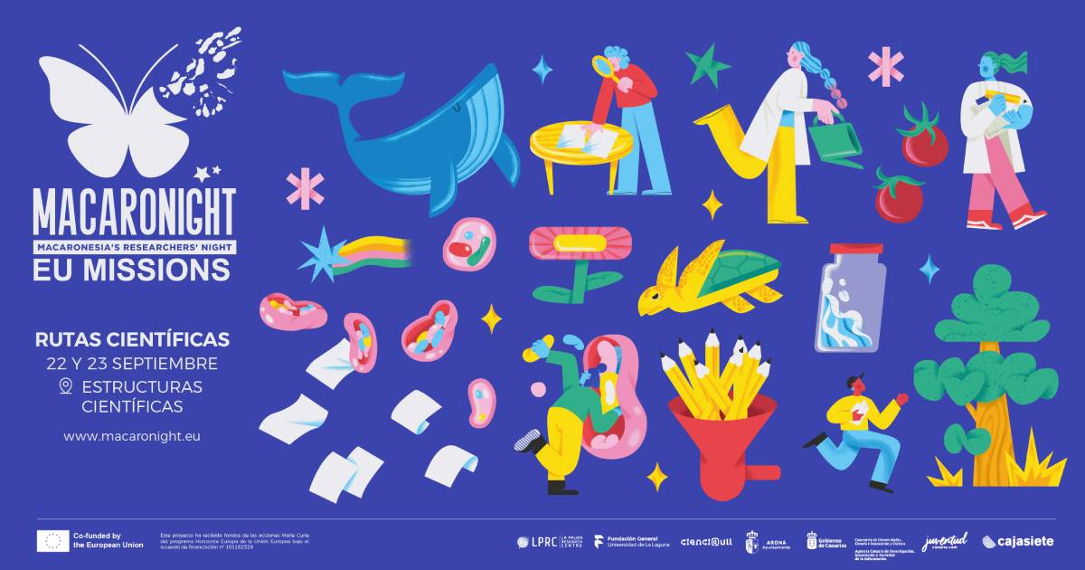 Banner Rutas Macaronight