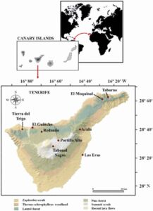 Zonas de muestreo del estudio.