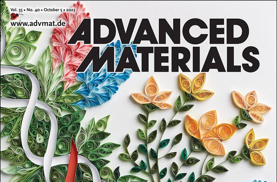 Fragmento de la portada de la revista Advanced Materials donde fue publicado el artículo en 2023.
