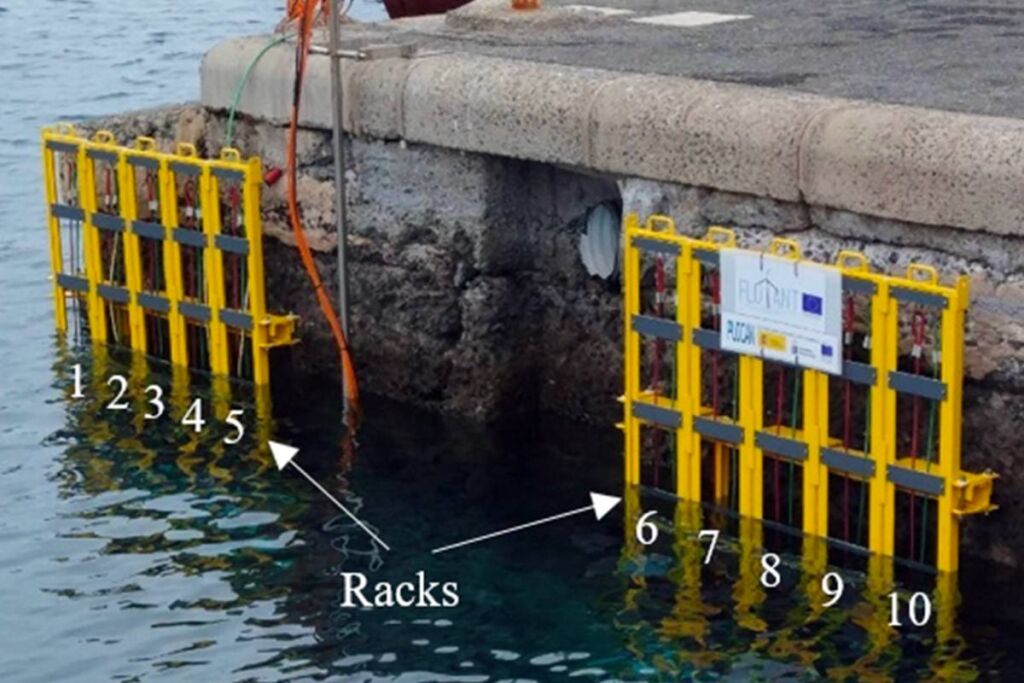 Expositores marinos utilizados para probar este material.