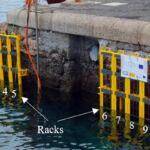 Expositores marinos utilizados para probar este material.